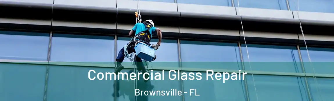  Commercial Glass Repair Brownsville - FL