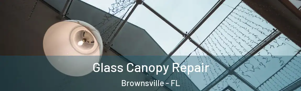  Glass Canopy Repair Brownsville - FL