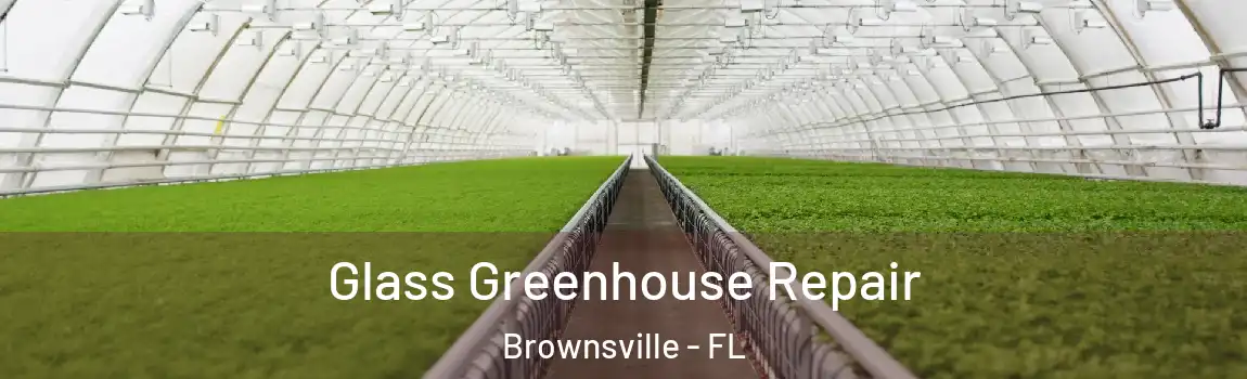  Glass Greenhouse Repair Brownsville - FL