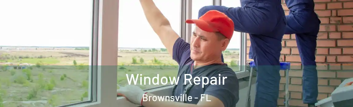  Window Repair Brownsville - FL